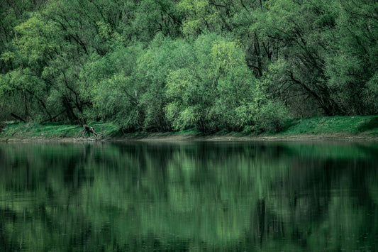 Longevity Is More Than Living Longer: How to Live Well